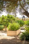 Can Arabí Các khách sạn ở Santa Gertrudis