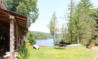 Kiwassa Lake Bed & Breakfast - Housity