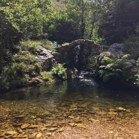 Pensión San Jorge
