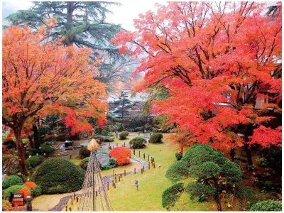 ホテル周辺 箱根湯本温泉 吉池旅館の写真