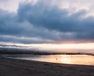 Hotel Santa Barbara - Pet friendly