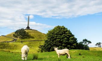 two white sheep are grazing in a grassy field with a monument in the background at Flat Bush Holiday Accomodation