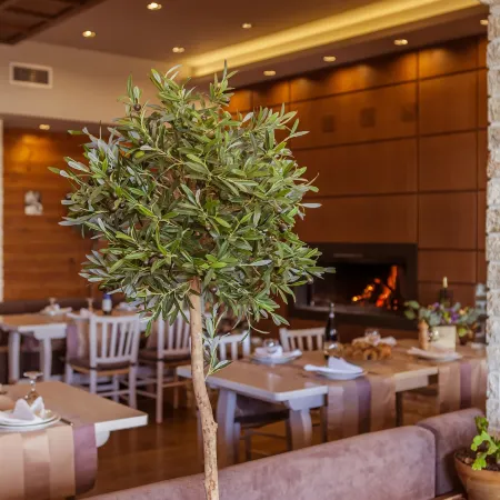 Manthos Mountain Resort & Spa