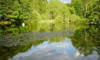 Les gîtes Insolites de l'Etang d'Anty