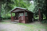 Cedar Grove Motel and Cabins