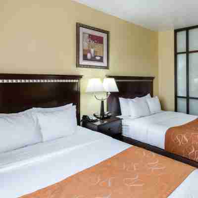 Comfort Suites Palestine Rooms