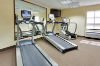 Drury Inn & Suites St Joseph - Gym