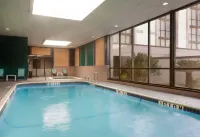 Holiday Inn Corpus Christi Arpt & Conf Ctr by IHG - piscine