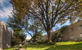 City Lodge Hotel Sandton, Katherine Street