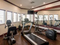 Comfort Suites Gainesville Hotels in Cooke County