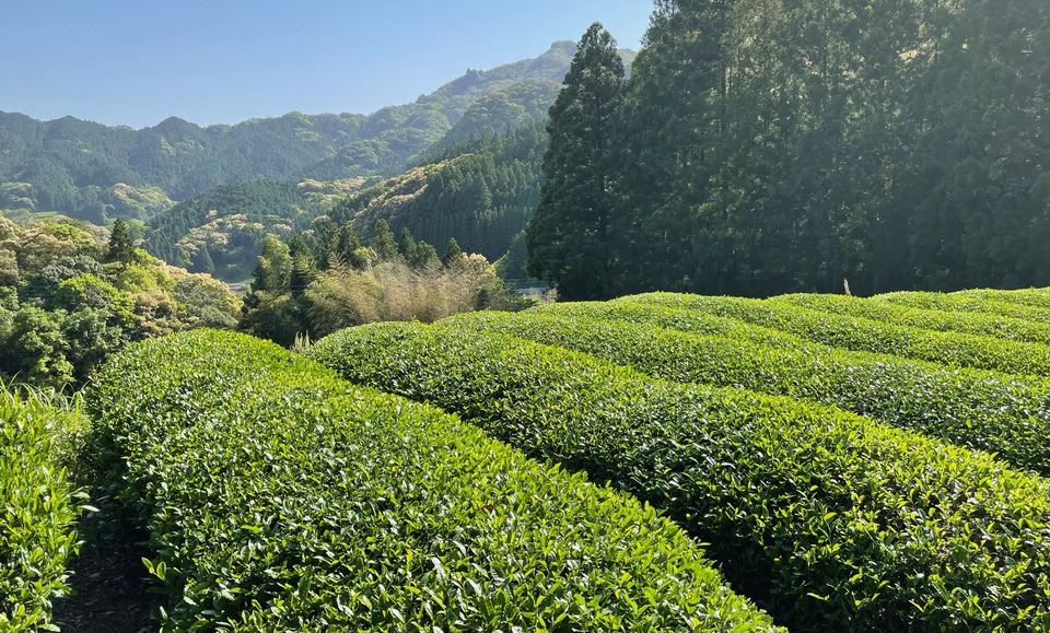 3. 호텔 루트 인 ..