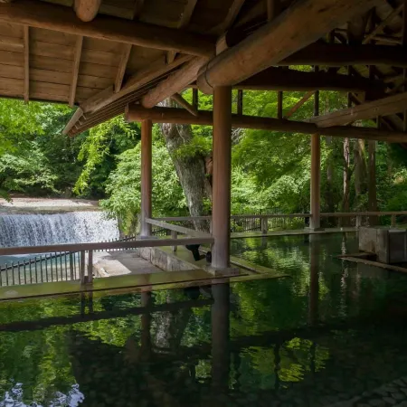 Shima Tamura