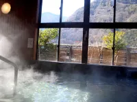 美里健康旅館 早川町酒店