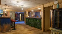 Cit'Hotel le Montreal - Bar