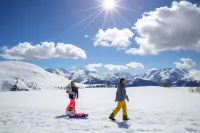 Chalet Hotel Alp'Azur