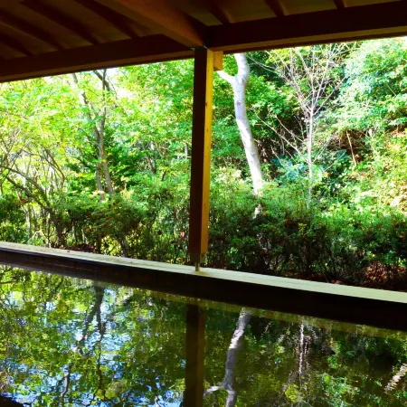 Vivi Atami Nature Village 3001