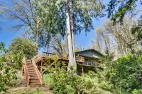 河畔林地小屋：樹木和森林景觀