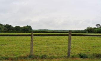 a field with green grass and a wooden fence in the foreground , under a cloudy sky at Woodhouse Woodmancote