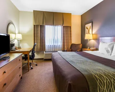 Comfort Inn Oklahoma City South - I-240 Hotels in Oklahoma City