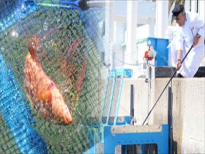 ホテル周辺 ホテルリマーニの写真