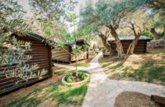 Holiday Park Olive Tree Hotels in 