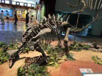 Yinghua Villa Apartment (Xinjiezi Branch)