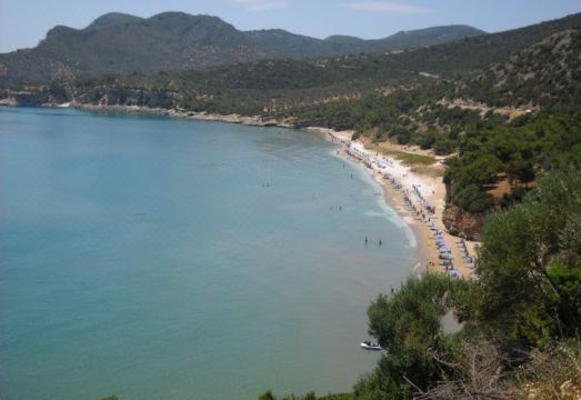 멜테미아 스튜디오 사모스 N.3 글리코리사