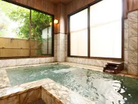 Nakamura Ryokan Hotels in Koshu