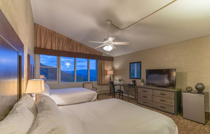 Mountain Chalet Snowmass