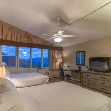 Mountain Chalet Snowmass