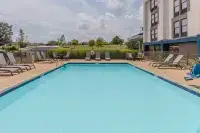 Hampton Inn Detroit/Northville (Farmington Hills Area) - piscina