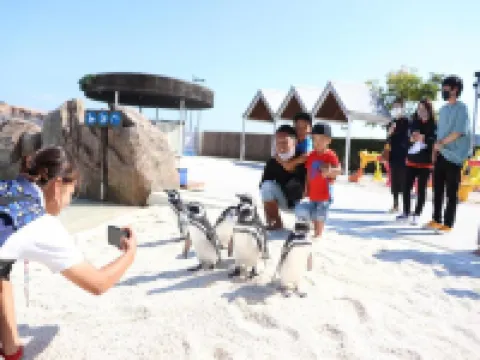 โรงแรม Sun Valley Annex