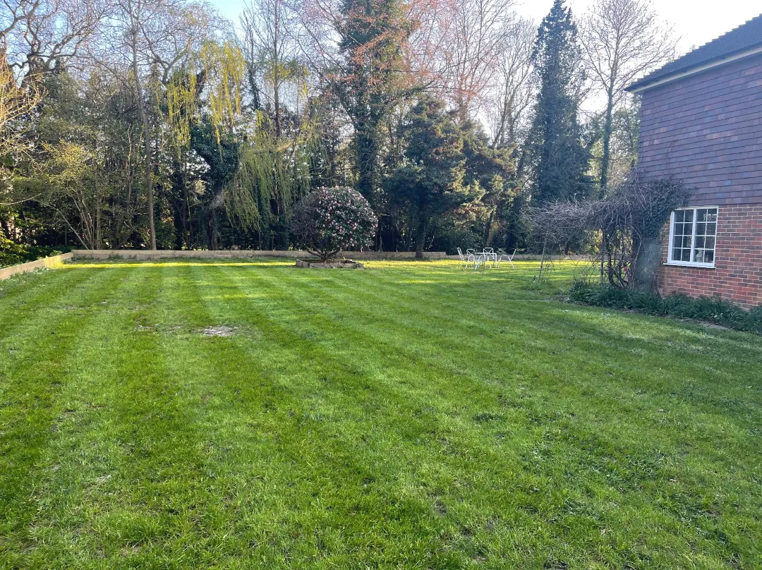 Da Vinci Guest House & Guest Parking, A Real Gem - West Sussex