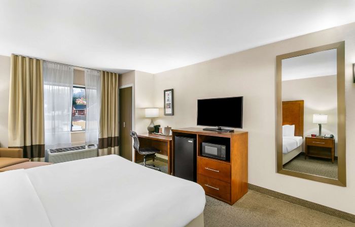 Comfort Inn Red Horse Frederick