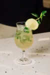 阿卡普爾科嘉年華美式別墅酒店 - 酒吧