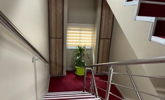 Residence Sycomore 1