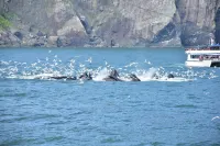 The Raven Lodge in Abbott Loop