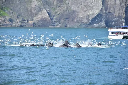 The Raven Lodge in Abbott Loop Отели рядом с достопримечательностью «Зоопарк Аляска»