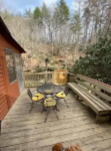 Cozy creek side cabin.  Pet Friendly.   Single Story, with ramp at entry