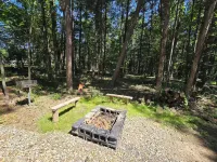 Pine Twist Cabin