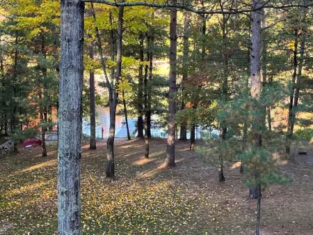 Pioneer Lodge Log Cabin
