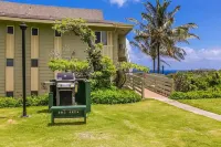 New to VRBO. Air Conditioned Luxury Island Retreat - Newly Remodeled Hotels in Princeville