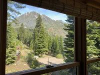 A Fallen Leaf Treasure