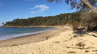 Spacious Coastal Retreat an Easy Walk to Pet Friendly Beach or River