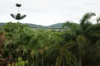 Luxury rainforest eyrie with panoramic views