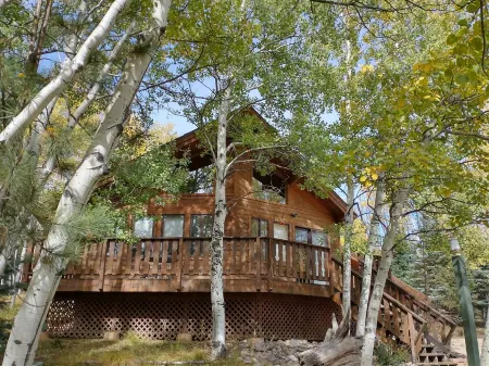 Mountain Chalet Tucked in Aspen Grove with Mountain Views