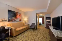 Hilton Garden Inn Wisconsin Dells Hotel a Lake Delton