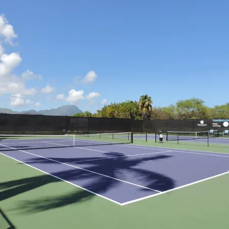 Kiahuna Plantation partial oceanview,top floor,4 min walk to beach, pool,gym,+AC