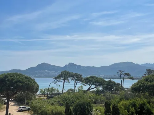 Apartment with 2 Bedrooms and All Amenities Hotels in Calvi