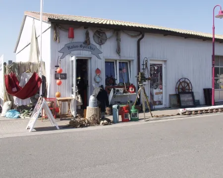 Vacation with dog, and without dog Hotels in Varel